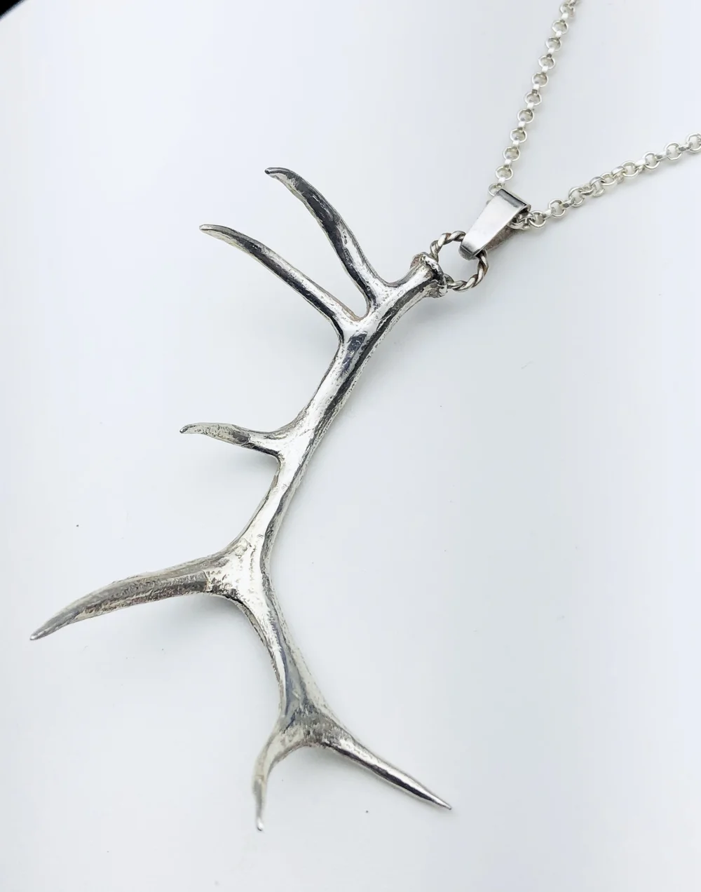 Elk+Horn+A.JPG?format=1000w